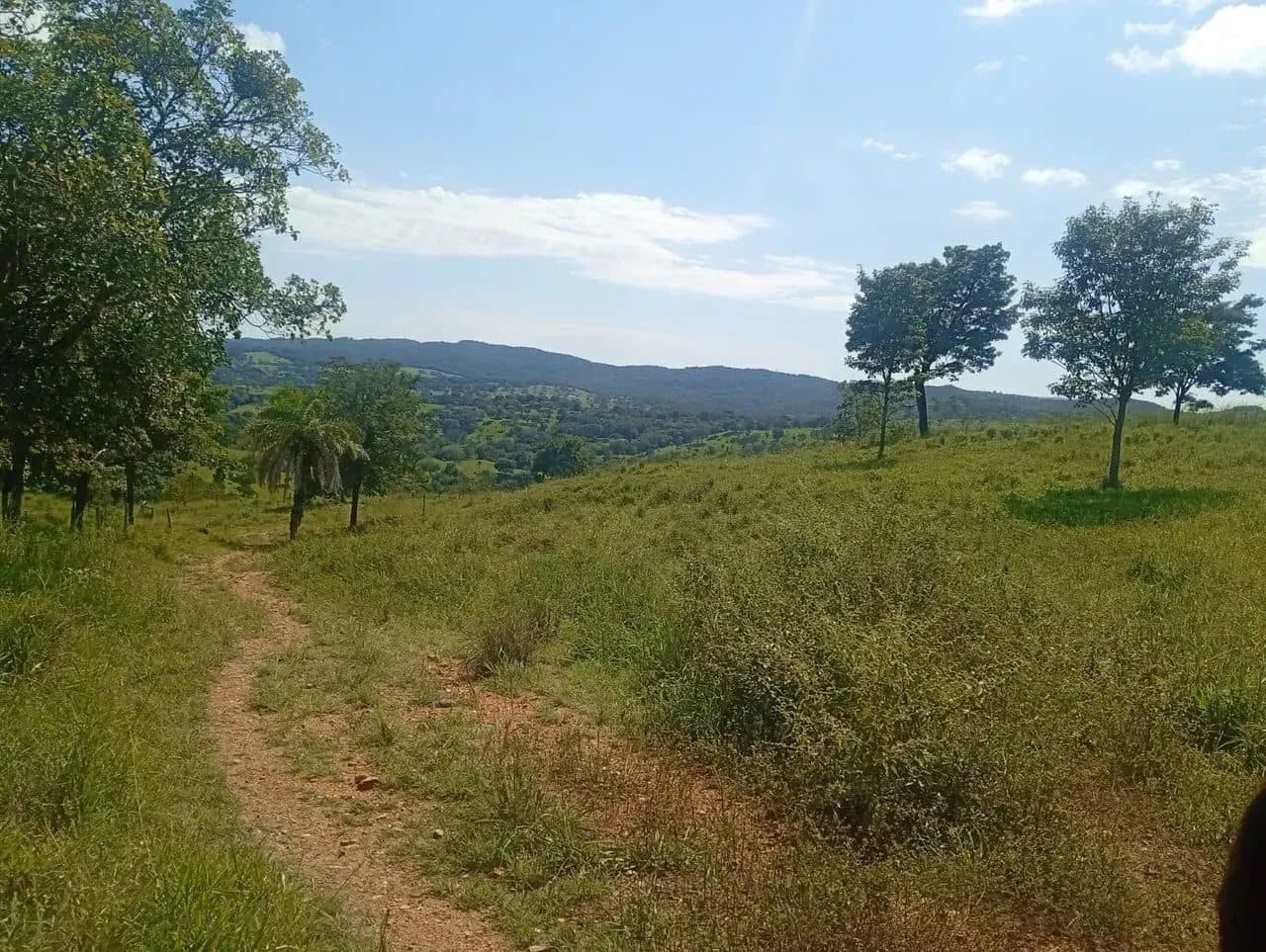 Fazenda em Goiás Velho-GO / 75 Alqueires - Miniatura 2